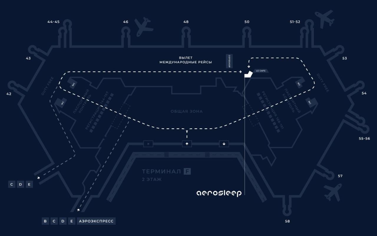 ГОСТИНИЦА AEROSLEEP ШЕРЕМЕТЬЕВО ТЕРМИНАЛ F МЕЖДУНАРОДНАЯ ТРАНЗИТНАЯ ЗОНА  ХИМКИ (Россия) - от 1481 RUB | NOCHI